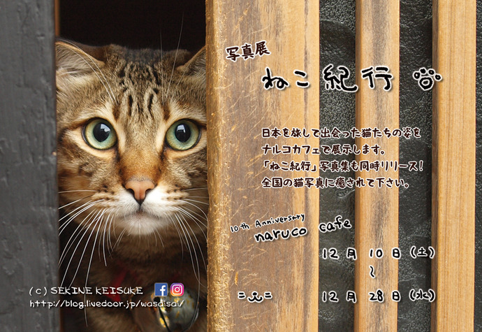 ねこねこ