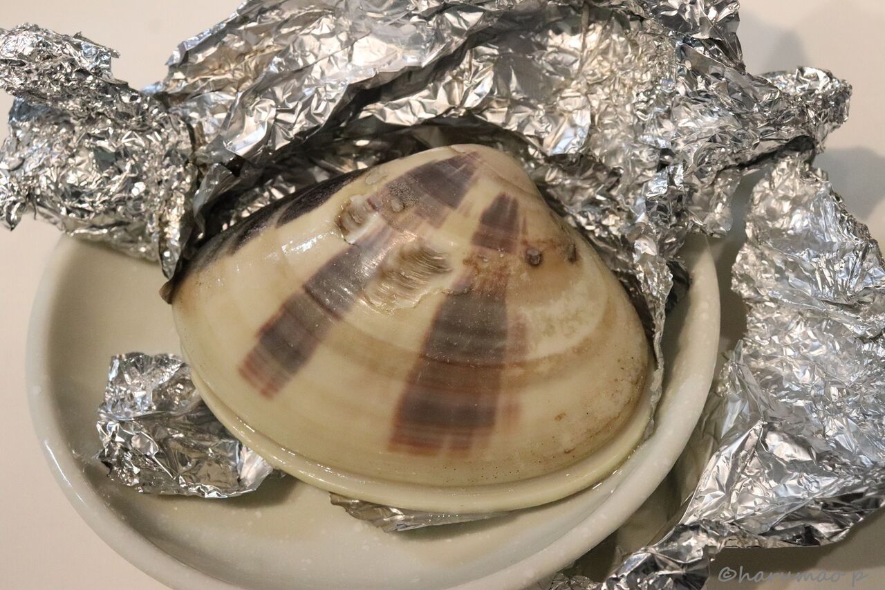 はまぐりはアルミホイルに包んで焼く 美味い焼き蛤 Harumao Papaのblog はまぐりはアルミホイルに包んで焼く 美味い焼き蛤 Harumao Papaのblog