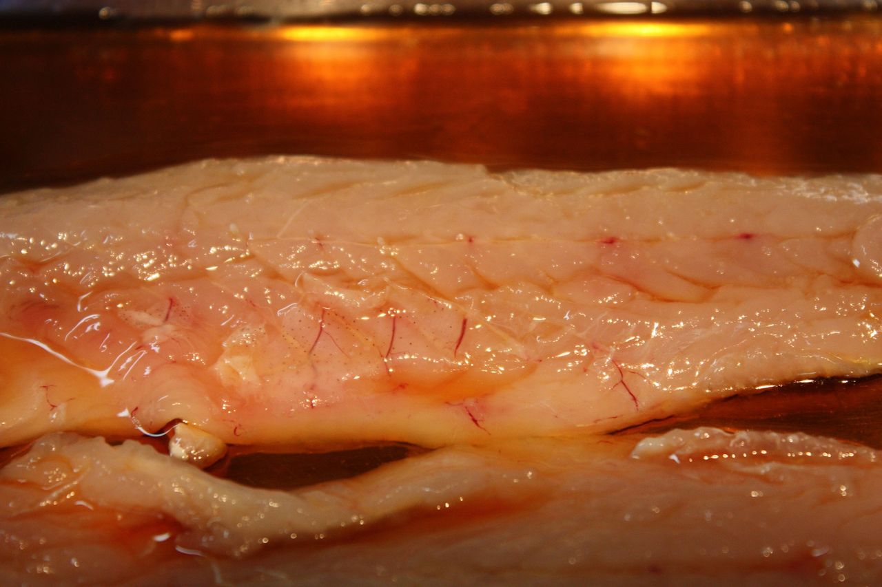 カマスを食す Harumao Papaのblog カマスを食す Harumao Papaのblog