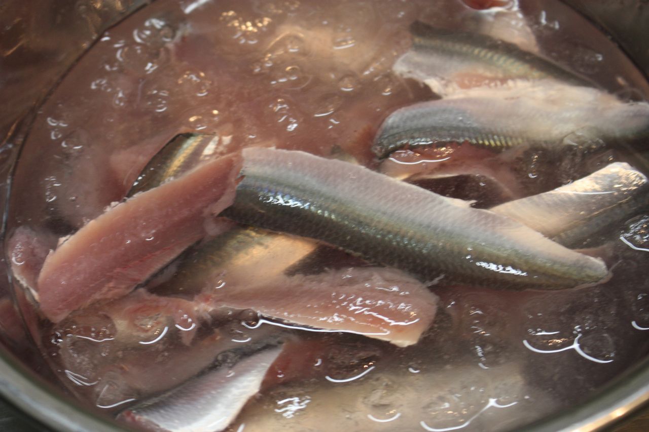 旬の魚 生 うるめいわしを美味しく頂く スーパーでも売っているだねー Harumao Papaのblog 旬の魚 生 うるめいわしを美味しく頂く スーパーでも売っているだねー Harumao Papaのblog