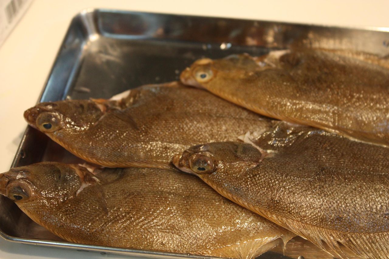 カレイの唐揚げとマグロのカマ焼き Harumao Papaのblog カレイの唐揚げとマグロのカマ焼き Harumao Papaのblog