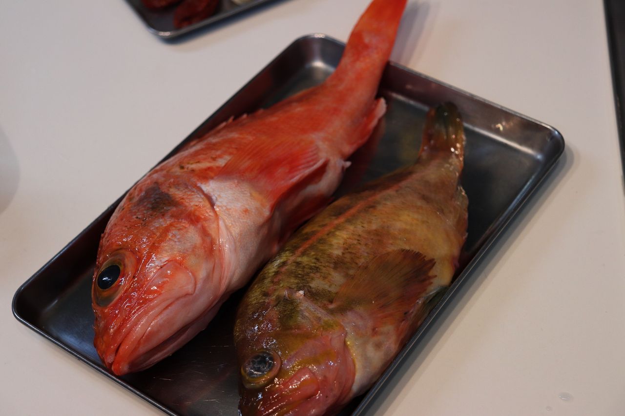 カサゴとキメバルのアクアパッツア Harumao Papaのblog