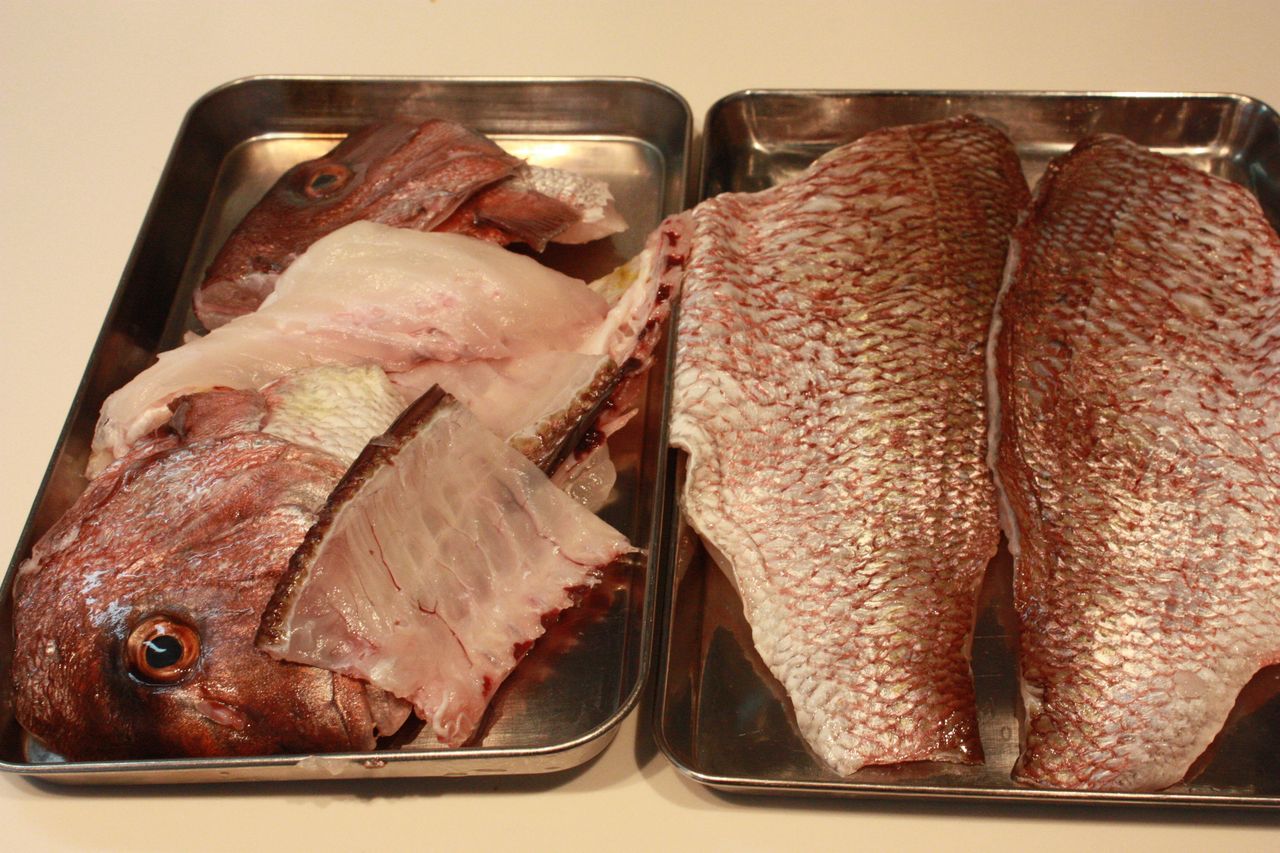 鯛を食べつくす6品 鯛のリゾット 鯛ケーキ 鯛ポアレ カルパッチョ こぶ〆 鯛せんべい Harumao Papaのblog