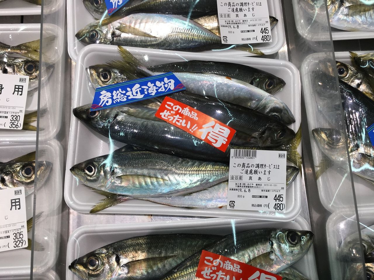 スーパーで買ったアジでヤエン釣り 内房で2 4kgのアオリイカ Harumao Papaのblog