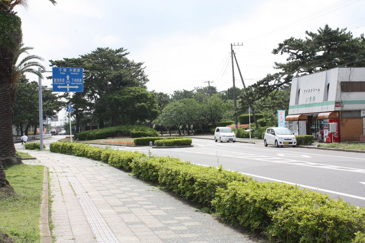 富津海岸へ潮干狩 13 Harumao Papaのblog