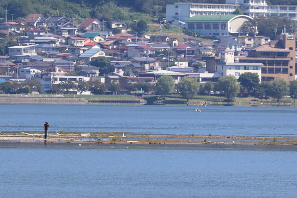 2A2A7002