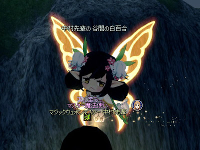 妖精フローラがかわいい 彩姉のティルコ観察日記