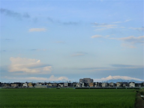 CIMG0244