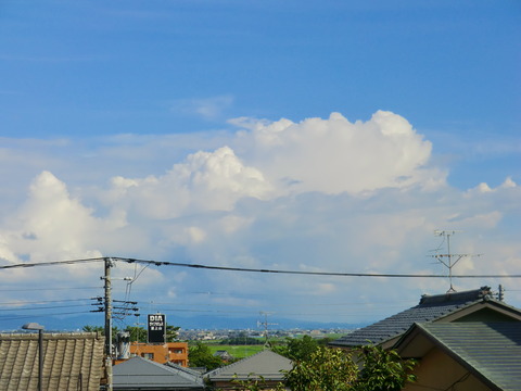 CIMG0019