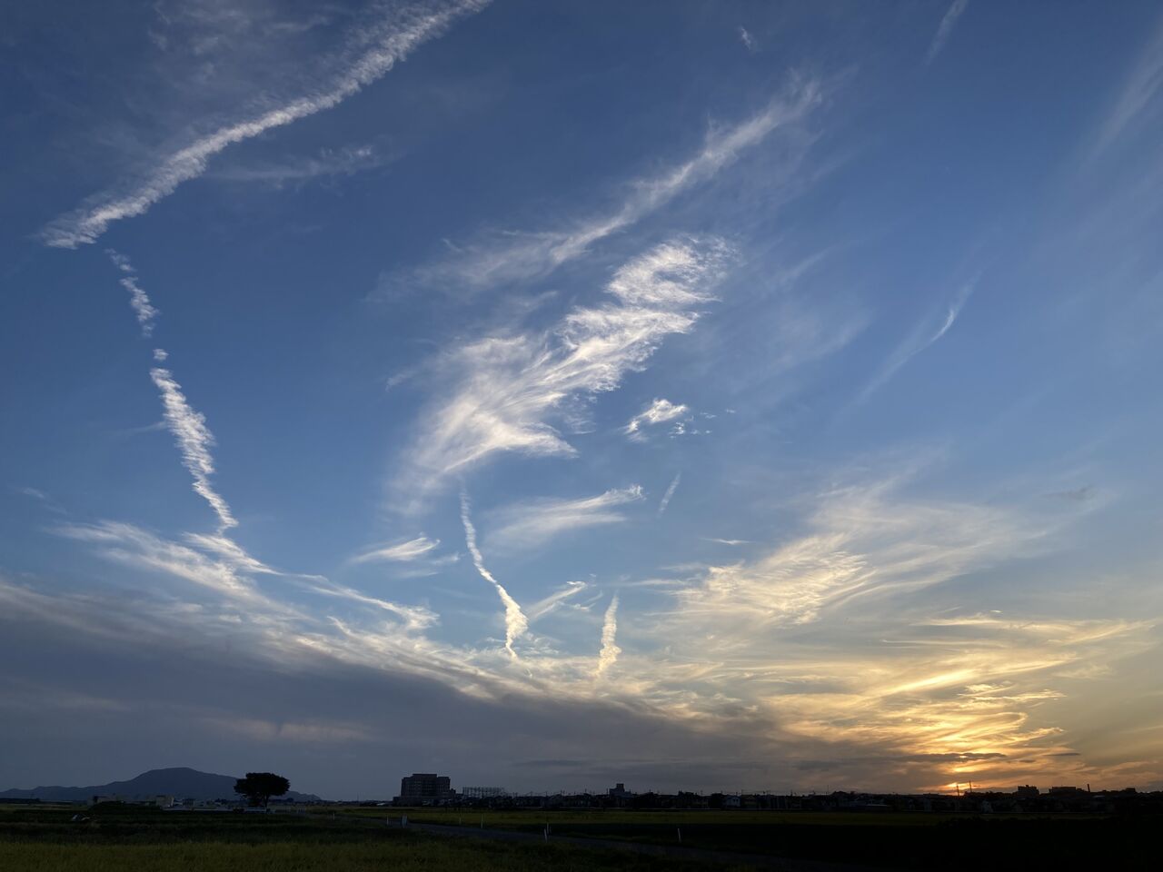 巻雲と飛行機雲 雲の流れと自然の愉しみ 日がな一日雲を眺めて暮らしたい