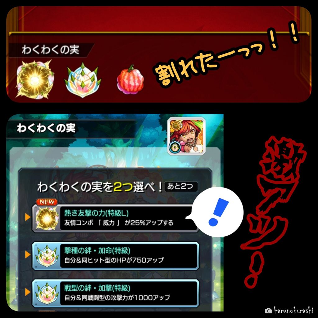 わくわくの実を探しに神殿へ行こうか ゲームしながらペットと戯れる暮らし わくわくの実を探しに神殿へ行こうか ゲームしながらペットと戯れる暮らし