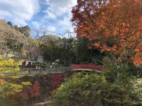 IMG_9395