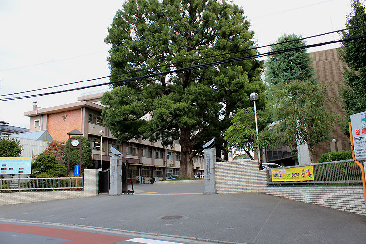 神様はじめました 川越はじまりました プチ聖地巡礼的な Haru S Memo