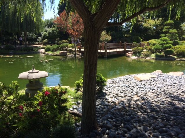 小さな日本庭園 Check Your Ego 小さな日本庭園 Check Your Ego