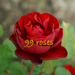 rinnogogo55