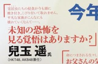 yadokari