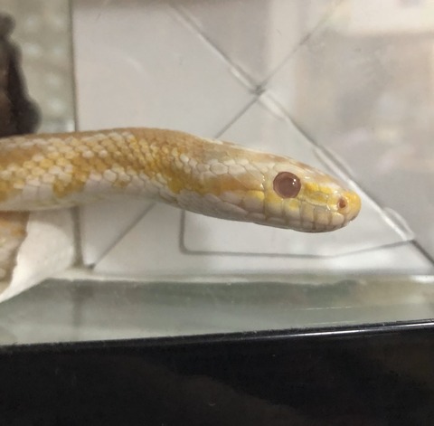 BC0CBBCF-5DEC-4BF6-93C2-FC73F5ADA948