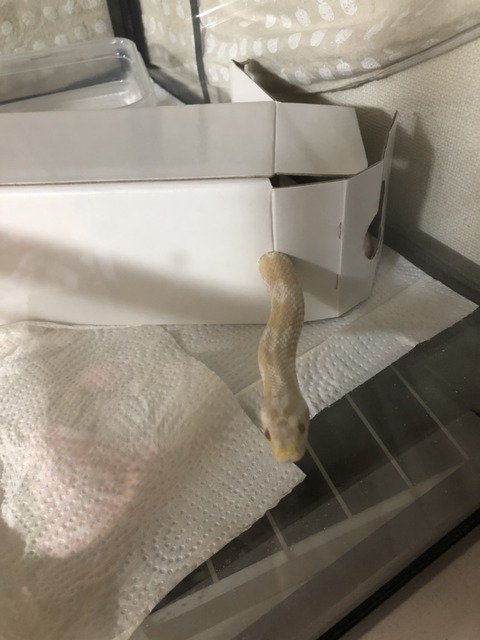 0BB948A3-6F81-426A-857B-4AC5F331D442