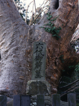 六代御前の墓