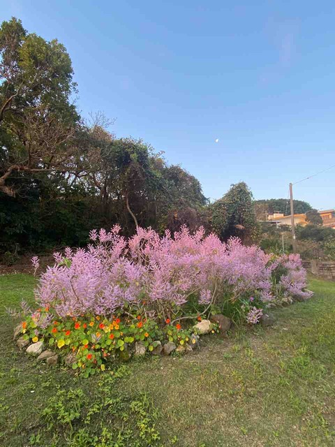 沖縄の春を感じる風景 Asia 琉球漫遊記 緩ゆるナース行