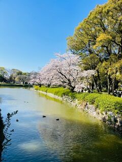 8C5E7765-64EB-4606-A8CB-4B6712659D84