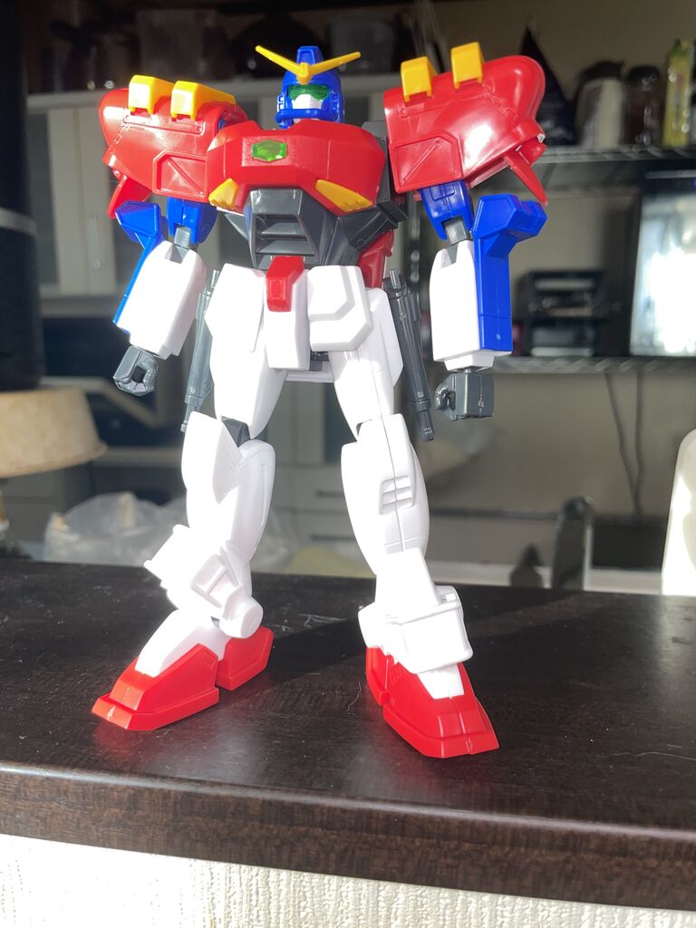 レビュー】旧キット HG1/100 ガンダムマックスター ぱち組レビュー