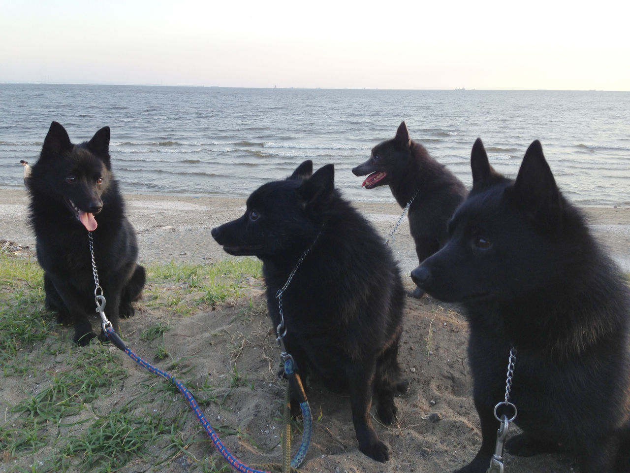 Kimiの館 Kimiの館