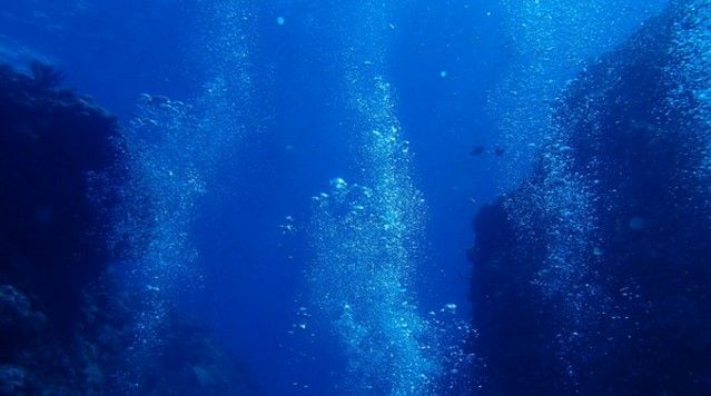 詩をよむ日日 潮音 韻律と意味