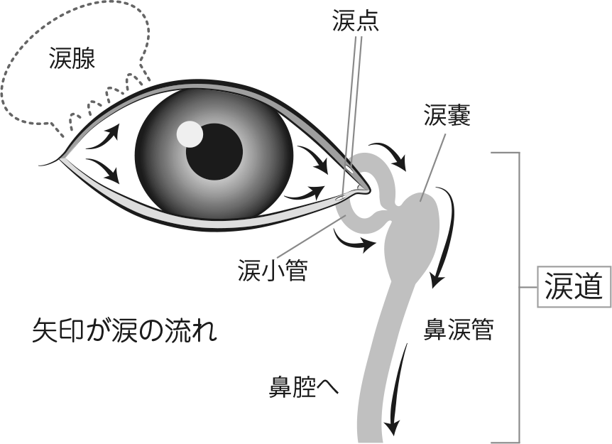 詩をよむ日日 ハイネ