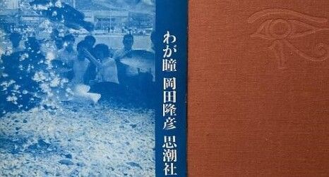 詩をよむ日日 日本の詩101年