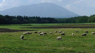 小岩井