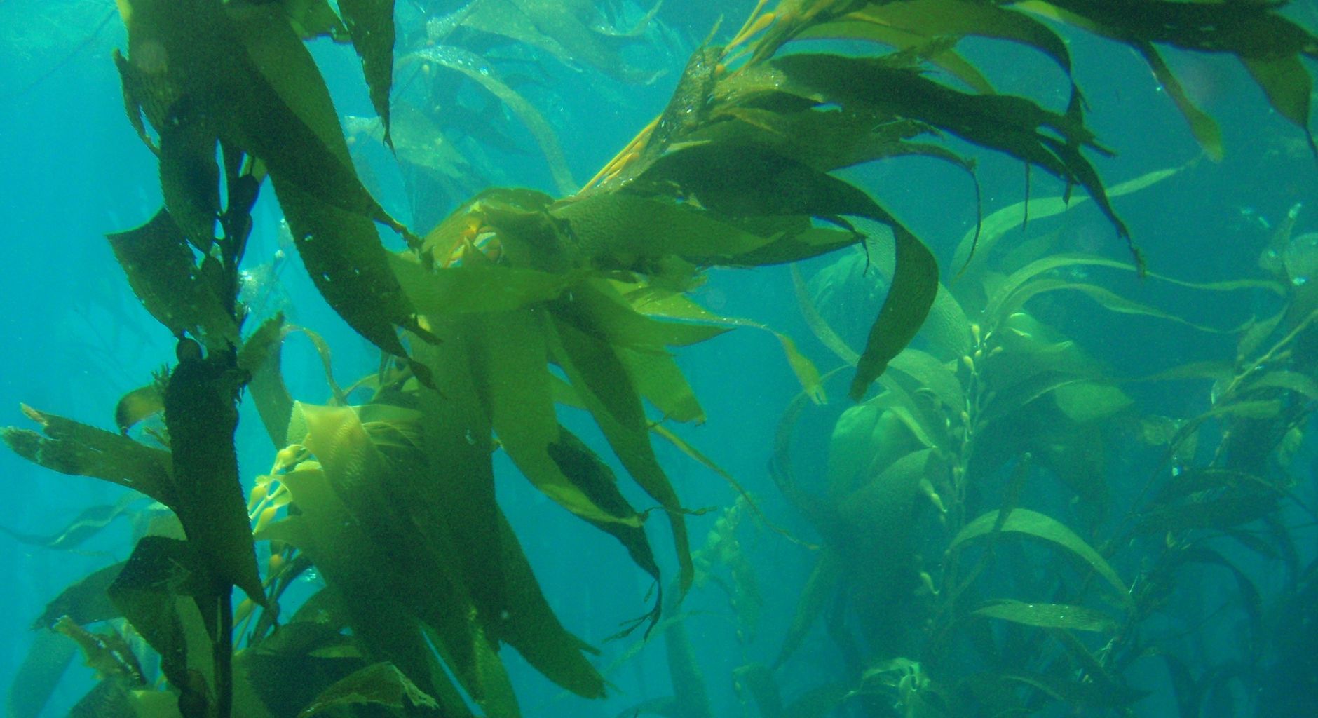 詩をよむ日日 函館港春夜光景