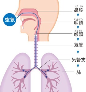 気管