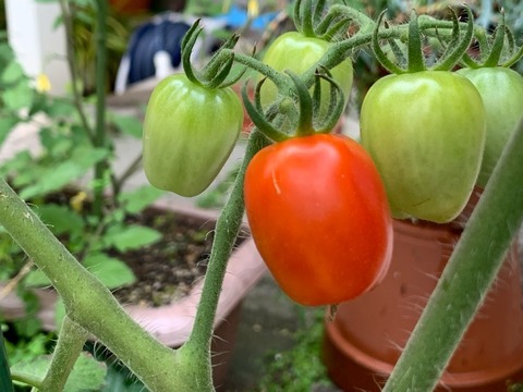 E6DD08C8-A742-4CA2-B120-C257FE14BE8F