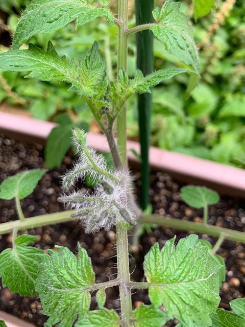 7F649714-852E-4B07-9200-6EB72B5BC652