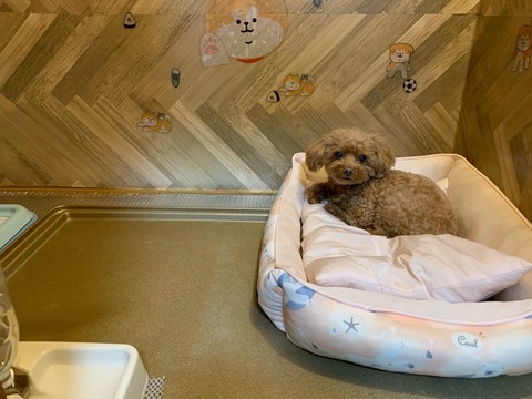 523F61C4-F13F-49A1-8413-652E35278600