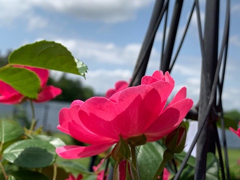 08D56DF1-F2CB-4BCE-ACDA-DD9F2D10206C