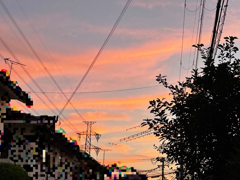 65AC4FD1-A96D-4F01-A957-63473CD00081