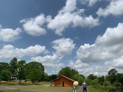 63F54CF6-ECCE-4183-8B2B-B642098BEDE5