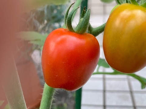 F92AA378-A162-4ED1-8B55-B132ECE86291