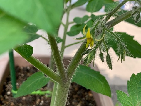 C9B5C770-480C-4957-9A93-6EEDEEF2DA0B