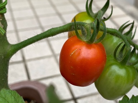 EA96837C-6863-4E8F-AB26-CC70A75D39FC