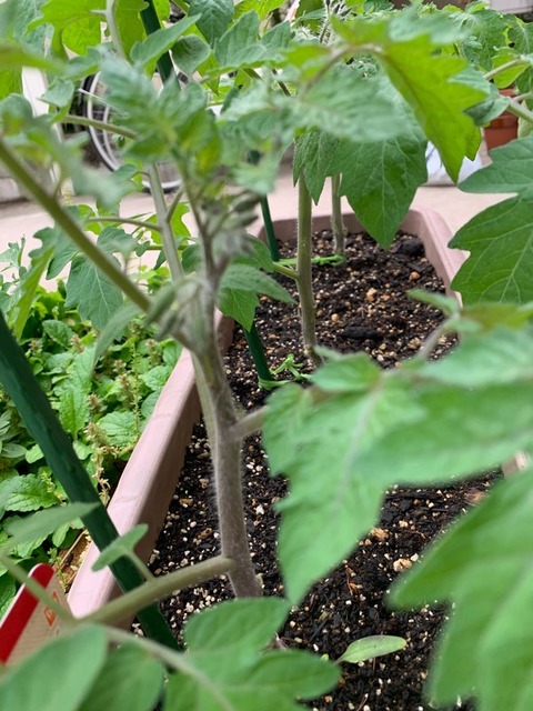 A22D7FA3-8F86-496E-9A55-A7F0E6F95374