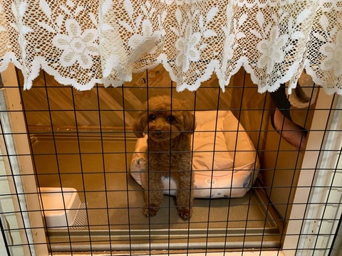 374759DF-FFC9-4EF4-B3E7-5E731056E34E