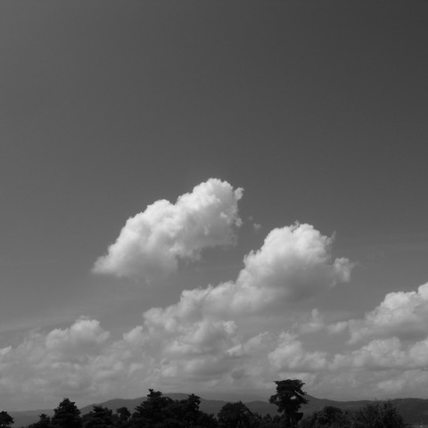 R0017024