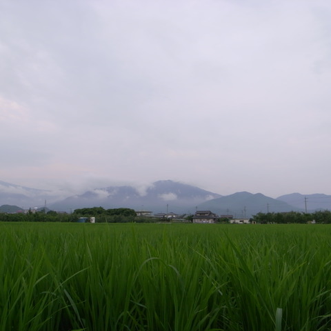 R0018973
