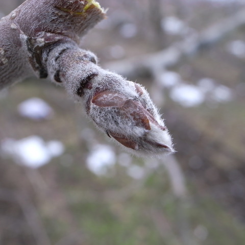 R0017868