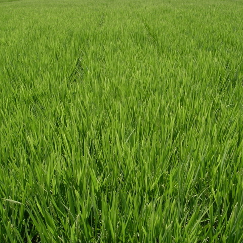R0019134