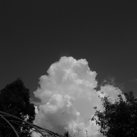 R0019175