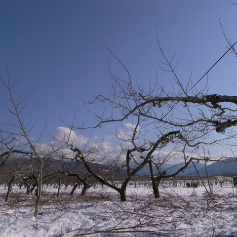 R0015534
